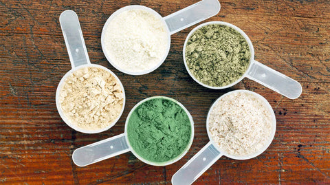 7 Types Of Protein Powder: A Complete Overview